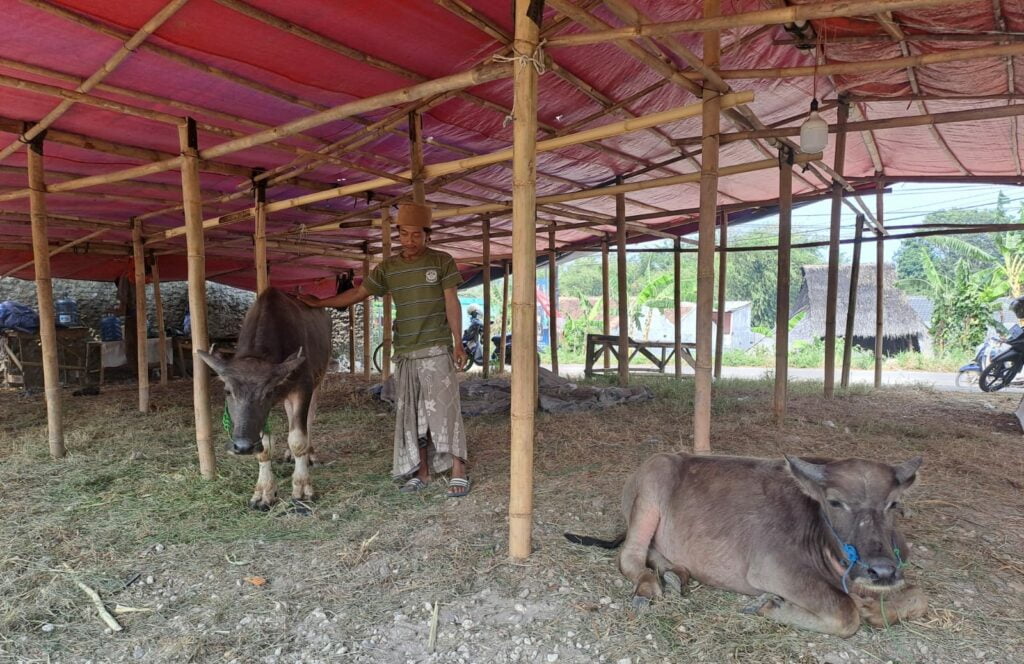 Dinas Ketahanan Pangan dan Pertanian (DKPP) Kota Cilegon.