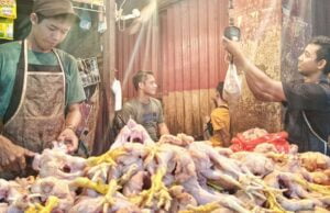 Harga daging ayam potong naik