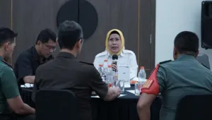 Ratu Tatu Chasanah