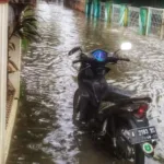 Gang Gabus Banjir