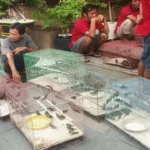 Penjual burung