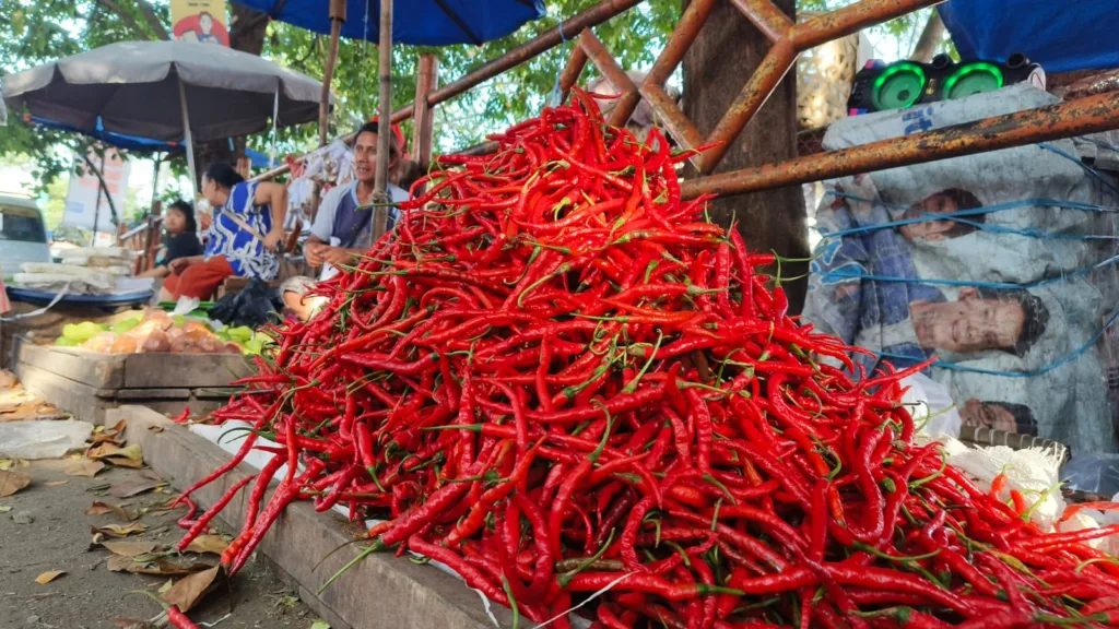 Harga cabai merah kriting di Kota Cilegon