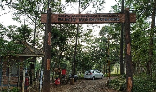 Bukit Waruwangi