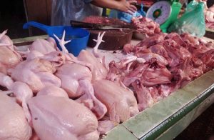 Daging Ayam