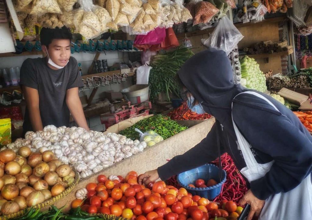 Harga Tomat Naik