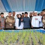 Pemkab Serang
