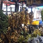 Pisang