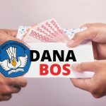 Dana Bos