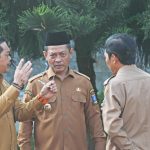 Najib Hamas