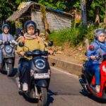 Scoopy Velocreativity