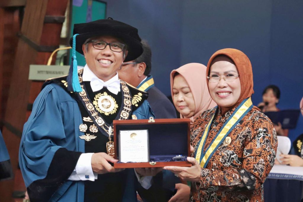 Ratu Tatu Chasanah